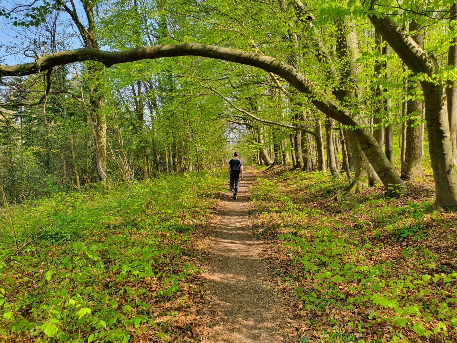 "nevo_Walk-and-Share_Innere-Klarheit-finden"
