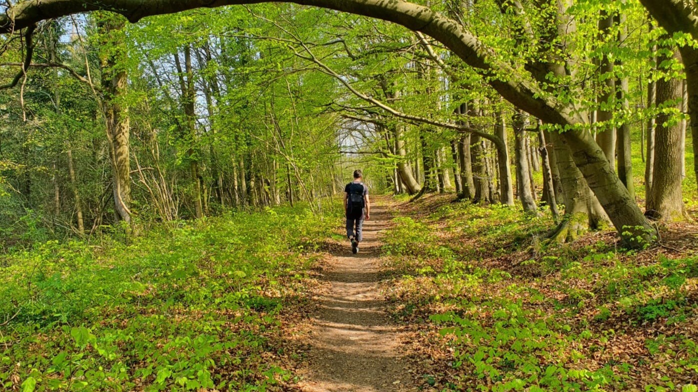 "nevo_Walk-and-Share_Innere-Klarheit-finden_Header"